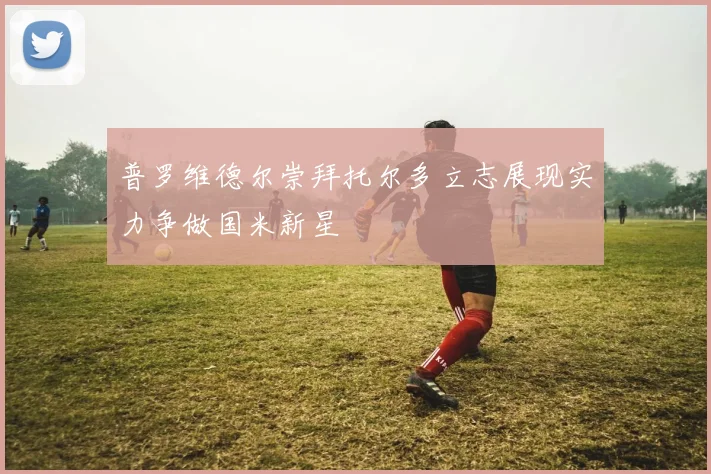 普罗维德尔崇拜托尔多立志展现实力争做国米新星